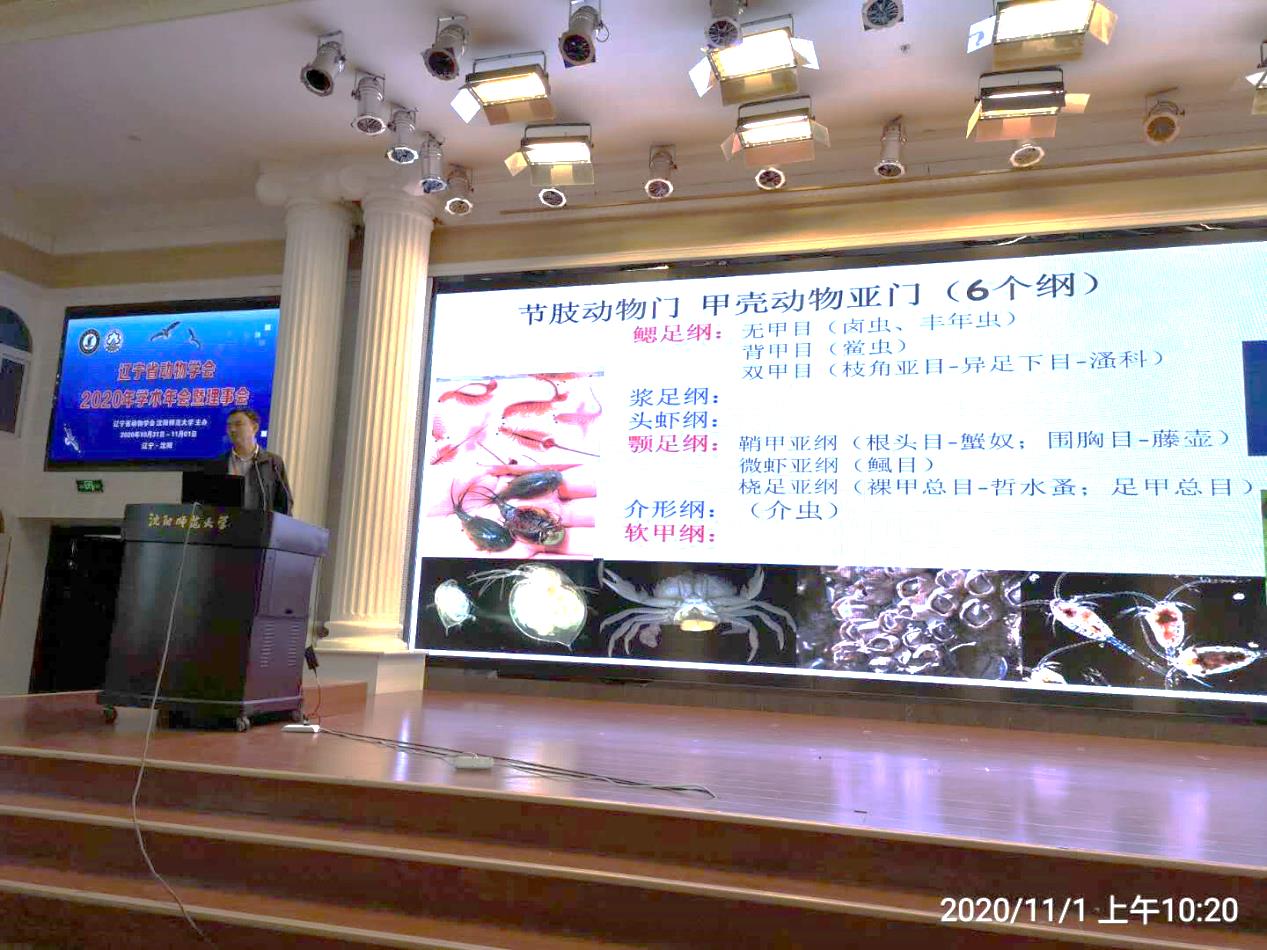 竞技宝JJB.com